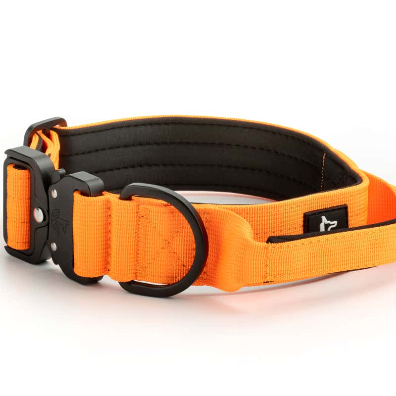 Xavi Moya Fotografía de producto en Barcelona de un collar para perros