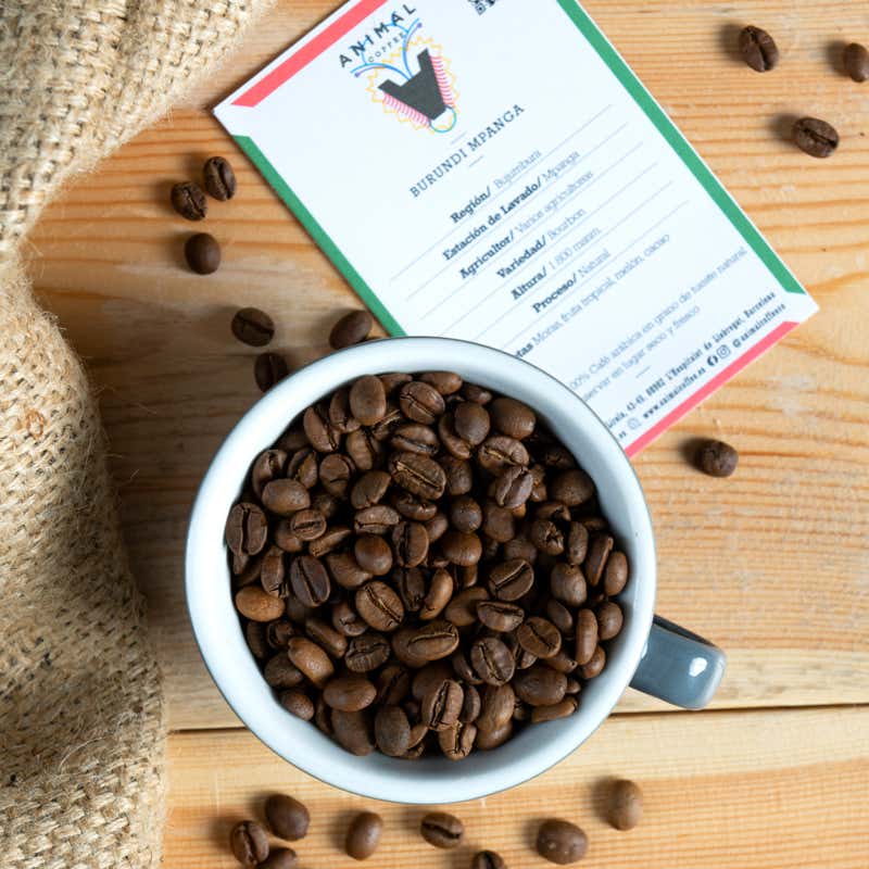 Xavi Moya Fotografía gastronómica en Barcelona de taza con granos de café