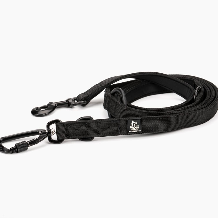 Xavi Moya Fotografía de producto en Barcelona de un collar para perros Wildtopdogs